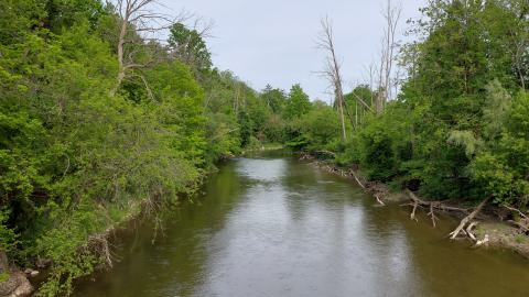 Left side river view