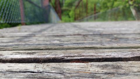 Low plank-focused shot