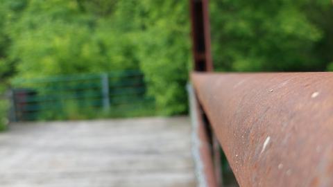 Photo from Nith River Bridge