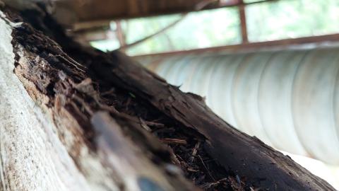 Under the bridge north #9