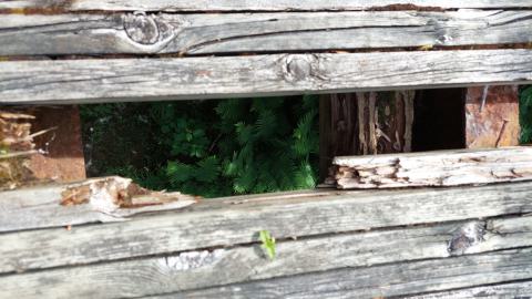 South end bridge hole