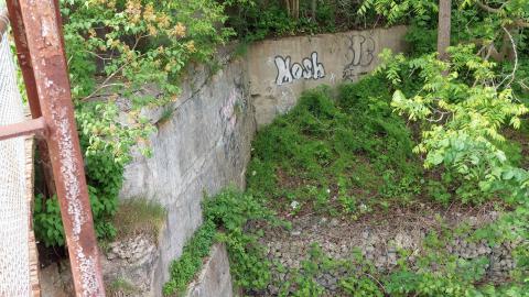 Photo from Nith River Bridge