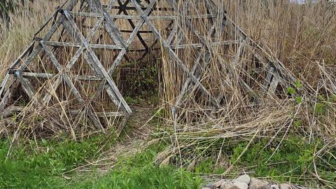 Screaming Heads 😱 - 1000004794.jpg