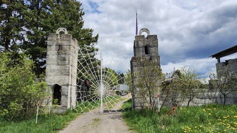 Photo from Screaming Heads 😱