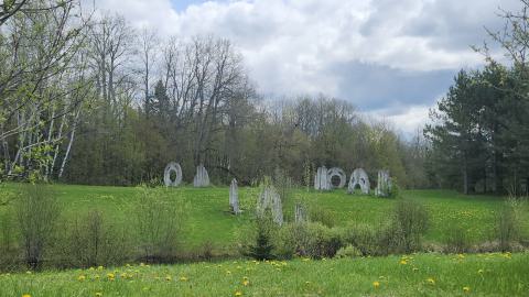 Screaming Heads 😱 - 1000004828.jpg