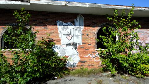 August 2020 - DSC_0154.jpg