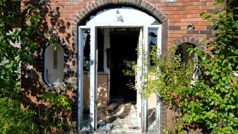 August 2020 - DSC_0155.jpg