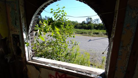 August 2020 - DSC_0159.jpg