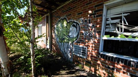 August 2020 - DSC_0171.jpg