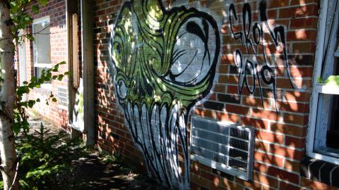 August 2020 - DSC_0172.jpg