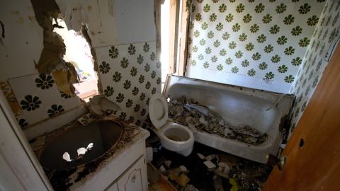 August 2020 - DSC_0174.jpg