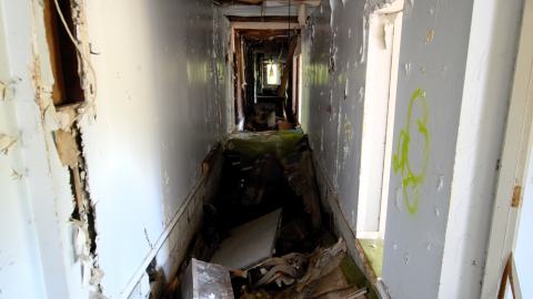 August 2020 - DSC_0176.jpg