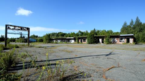 August 2020 - DSC_0185.jpg