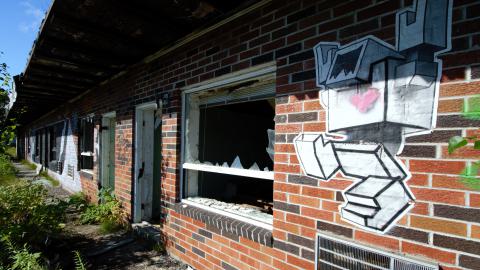 August 2020 - DSC_0186.jpg