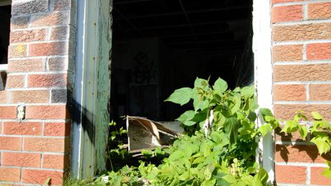 August 2020 - DSC_0187.jpg