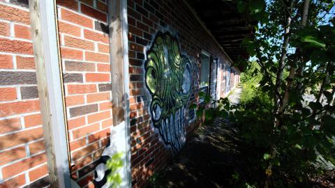 August 2020 - DSC_0190.jpg