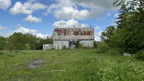 Barn