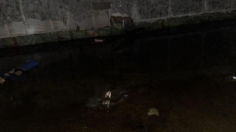 Flooded barn basement