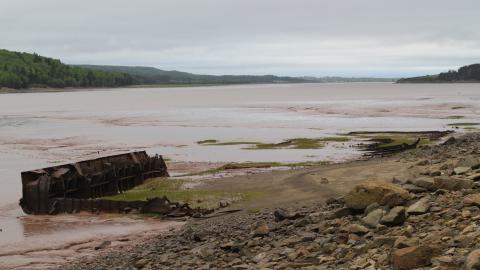 Some iron ruins. I'm guessing maybe what's left of a hull of a barge.