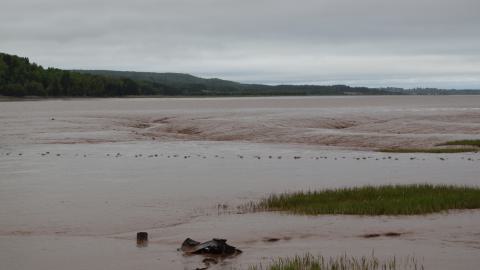 Super sticky mud, dont touch it you'll get stuck.