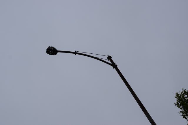 Dorchester Cape photo 2