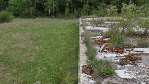 Dorchester Cape photo 5