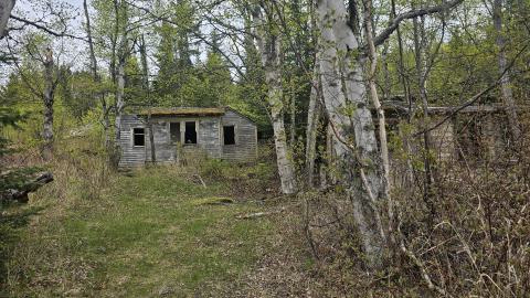 Jackfish 2024 - 20240531_141028.jpg