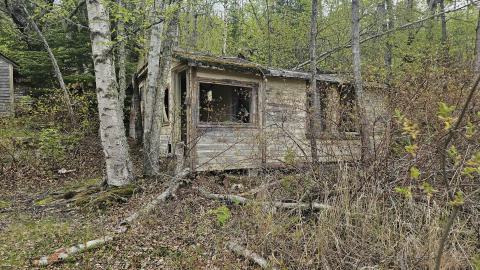 Jackfish 2024 - 20240531_141031.jpg