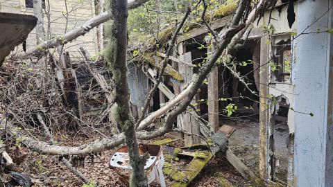 Photo from Jackfish 2024