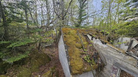 Jackfish 2024 - 20240531_141345.jpg