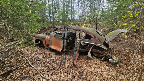 Photo from Jackfish 2024