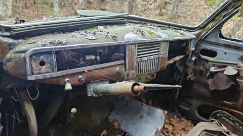 Photo from Jackfish 2024