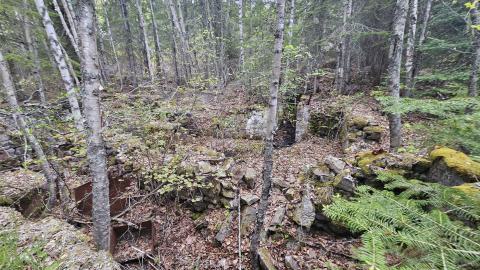 Jackfish 2024 - 20240531_141933.jpg