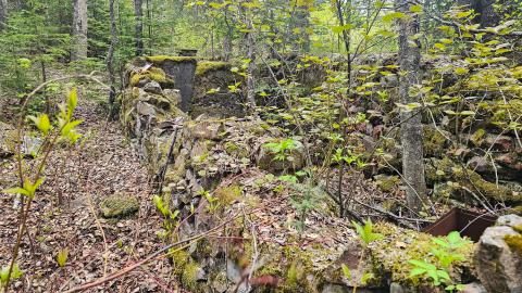 Jackfish 2024 - 20240531_142018.jpg