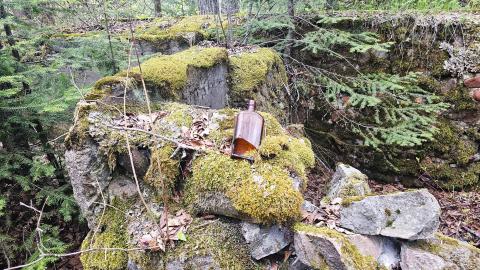 Jackfish 2024 - 20240531_142028.jpg