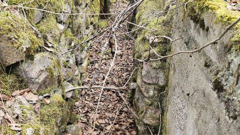 Jackfish 2024 - 20240531_142049.jpg