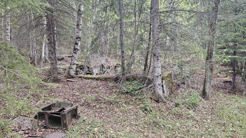 A discarded stove and foundation in the background