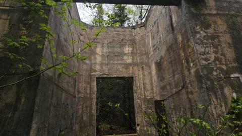 Jackfish 2024 - 20240531_142841.jpg