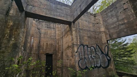 Jackfish 2024 - 20240531_142850(0).jpg