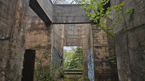 Jackfish 2024 - 20240531_142906(0).jpg