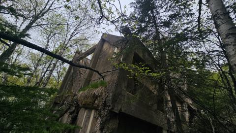 Jackfish 2024 - 20240531_143340.jpg