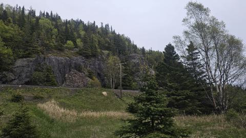 Jackfish 2024 - 20240531_143813.jpg