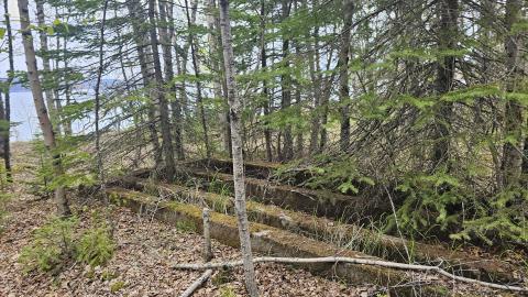 Mossy concrete foundations near the shore
