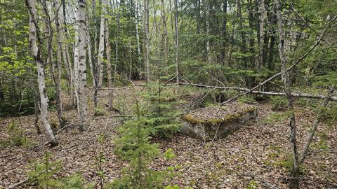 Jackfish 2024 - 20240531_144852.jpg