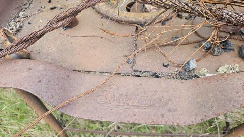 Jackfish 2024 - 20240531_145005.jpg