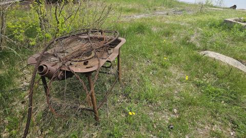 Jackfish 2024 - 20240531_145011.jpg