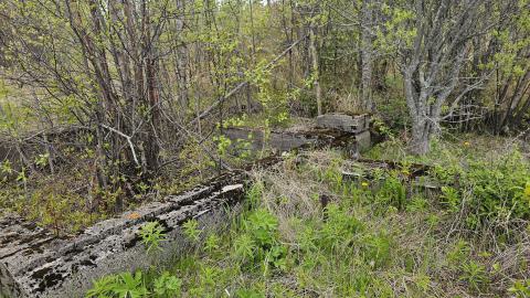 Jackfish 2024 - 20240531_145350.jpg