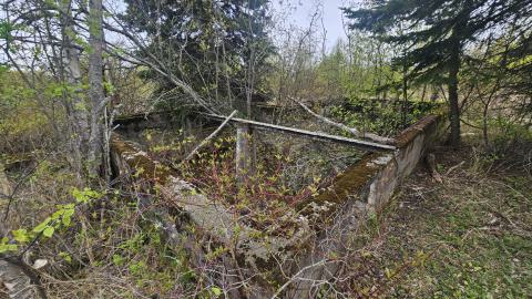 Jackfish 2024 - 20240531_145544.jpg