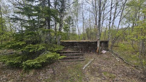 Jackfish 2024 - 20240531_145716.jpg