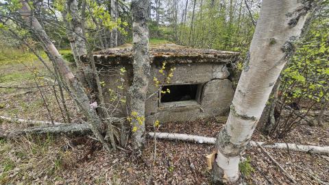 Jackfish 2024 - 20240531_145727.jpg